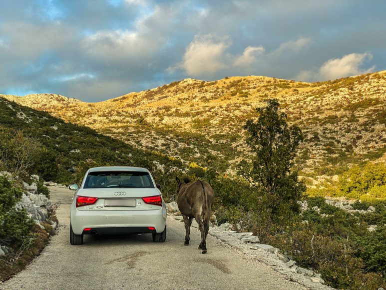 skywalk biokovo_-10.jpgnew