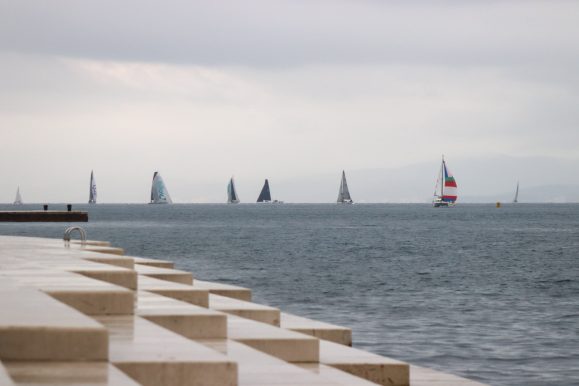 zd koka (31 of 42) morske orgulje