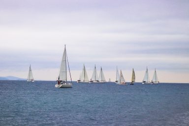 zd koka (35 of 42) jedrilice