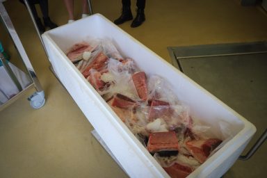 tuna