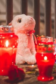 Oprostaj od Balasevica na Visnjiku 66