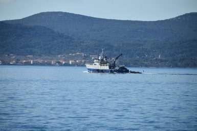 Suncana nedjelja u Zadru (21.02.2021.) 46