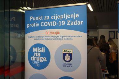 cijepljenje visnjik-3