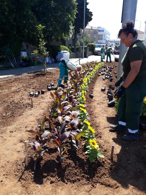 prometni otok bolnica (10)