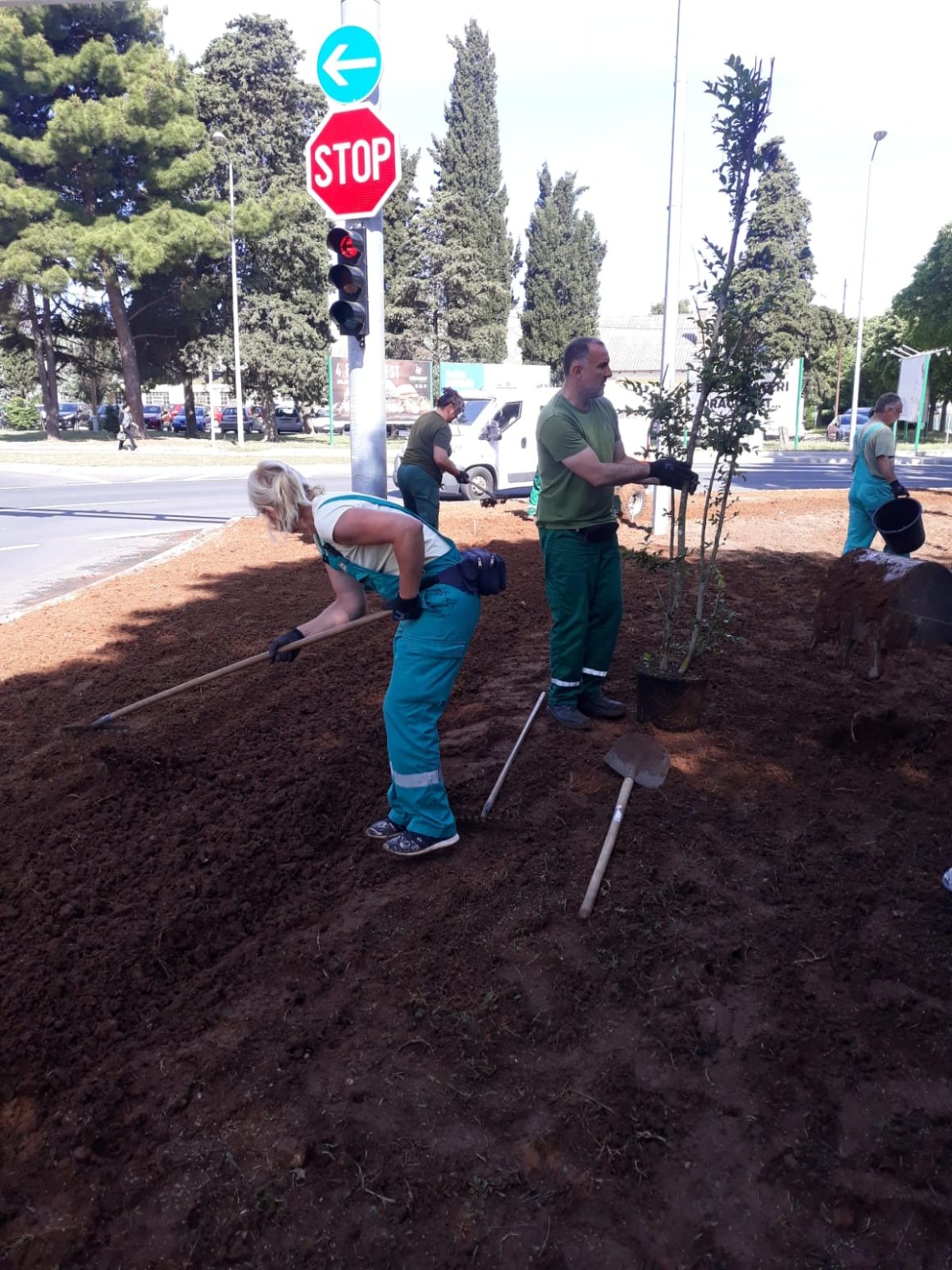 prometni otok bolnica (12)