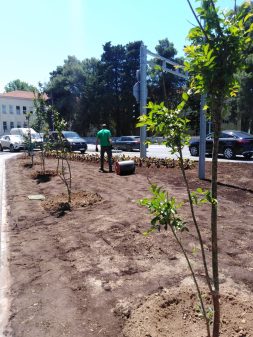 prometni otok bolnica (7)