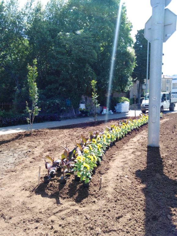 prometni otok bolnica (8)