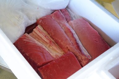 tuna, rucak za bolesnike, liga protiv raka, bolnicka kuhinja, tuna, pelagos