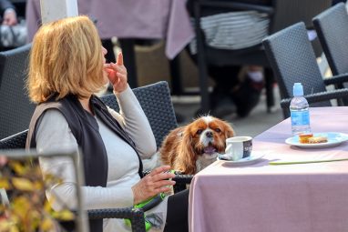 dan narcisa na viru 2022 18