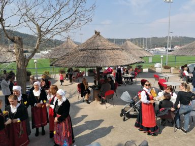 dan narcisa u sutomiscici 2022 2