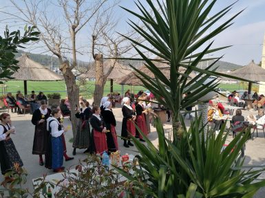 dan narcisa u sutomiscici 2022 4