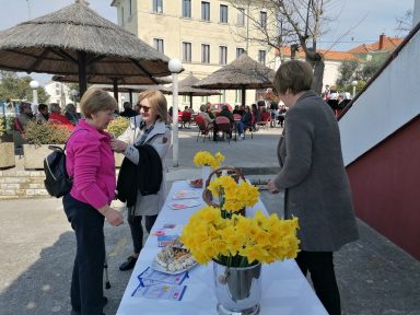 dan narcisa u sutomiscici 2022 6