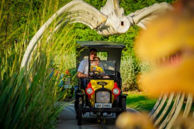 Fun park Transformeri-60