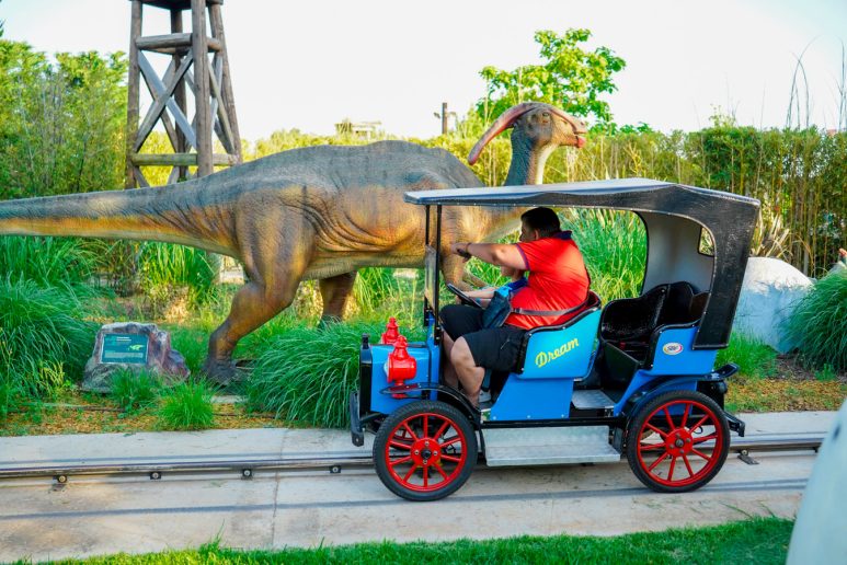 Fun park Transformeri-62