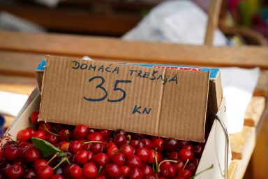 trisnja, tresnja, tresnje-3