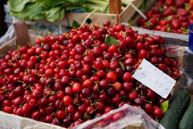 trisnja, tresnja, tresnje-5