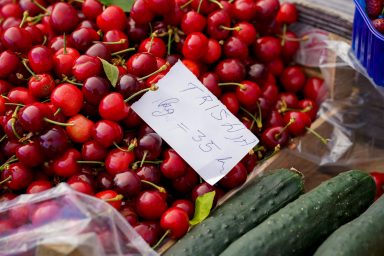 trisnja, tresnja, tresnje-6