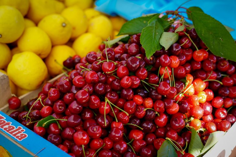 trisnja, tresnja, tresnje