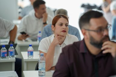 zupanijska skupstina, helena mikulandra