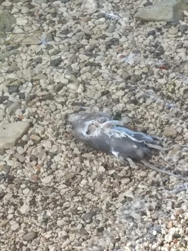 14be0e4ab9503b8414a6