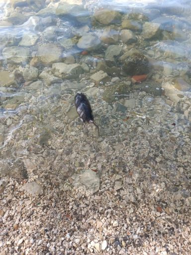 bda38e4049e6d3b3b9d1