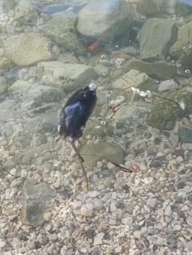 e0bcde2666623741aa97