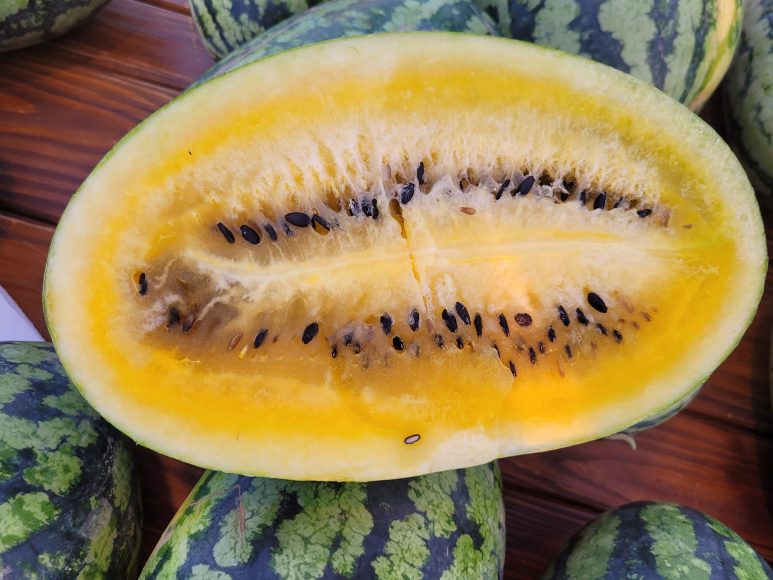 egzoticni sajam u vrsima 2