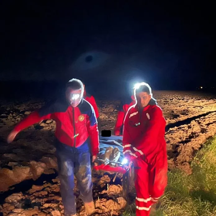 0722ae6f-dbe9-4c6a-b586-86b02ff46540-810x810