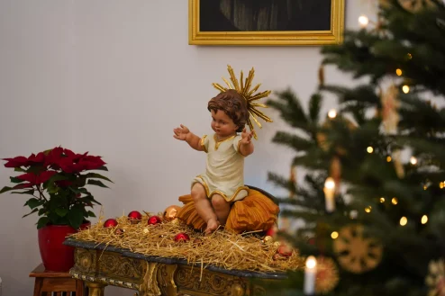 Andeo, bozic, bor, bozicna dekoracija FOTO Matija Lipar_-2