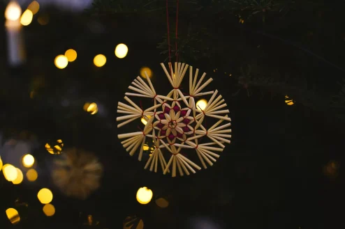 Bozicni ukrasi od slame, bozic, bor, bozicna dekoracija FOTO Matija Lipar_-20