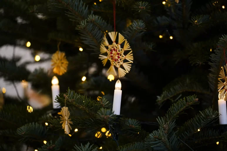 Bozicni ukrasi od slame, bozic, bor, bozicna dekoracija, bozicne lampice, zaruljice FOTO Matija Lipar_-4