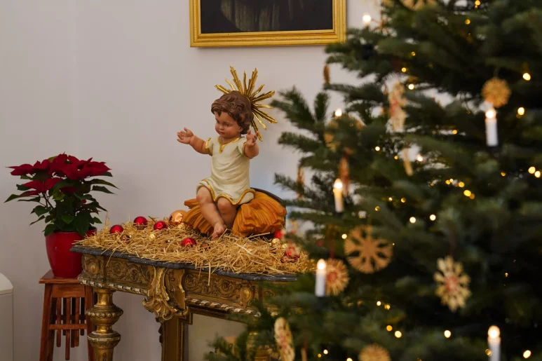 Bozic, andeo, bozicne dekoracije, slama, bozicno drvce, bor FOTO Matija Lipar_