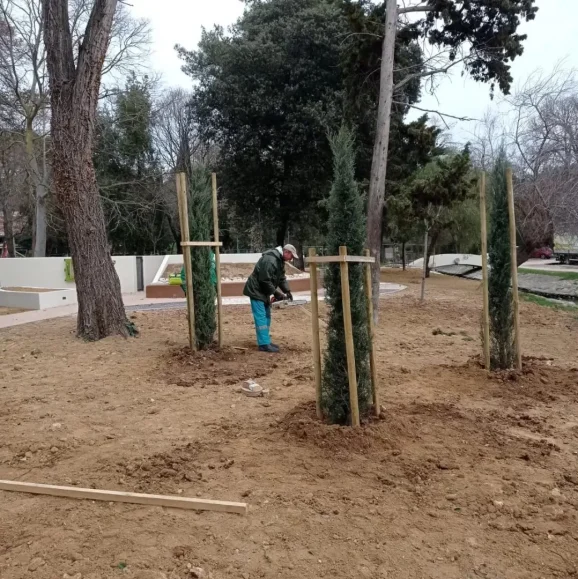 329551930_933791620962545_4629976855459156343_n