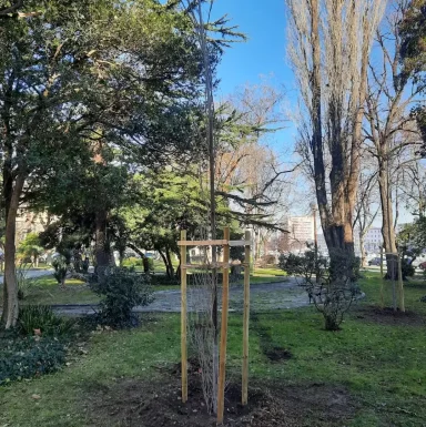 330132712_1335844360531837_6269322513349609136_n