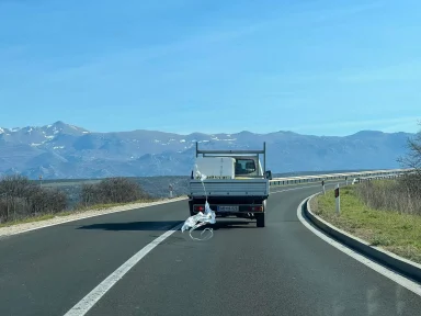 336590056_768495184533581_8459909591734841772_n