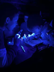 BE56367E-7836-4C3E-9D47-66B53AF47A74