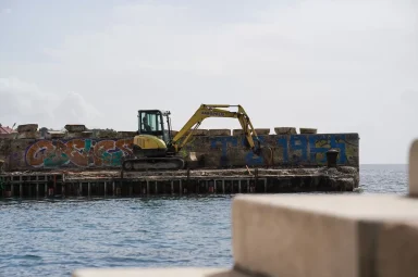 Fosa, Mul FOTO Matija Lipar-12