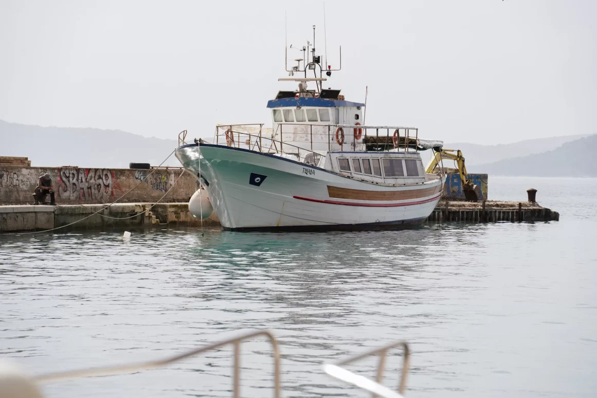 Fosa, Mul FOTO Matija Lipar-2