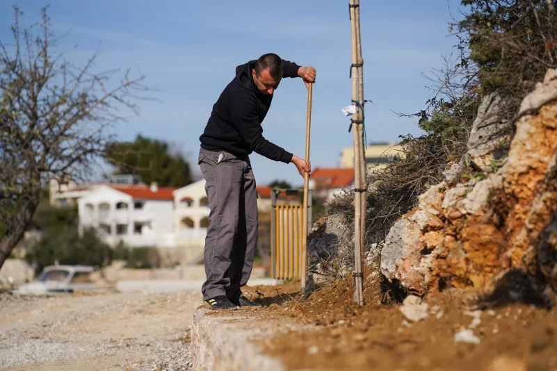 Sadnja stabala na plazi Male Vrulje FOTO Matija Lipar-12