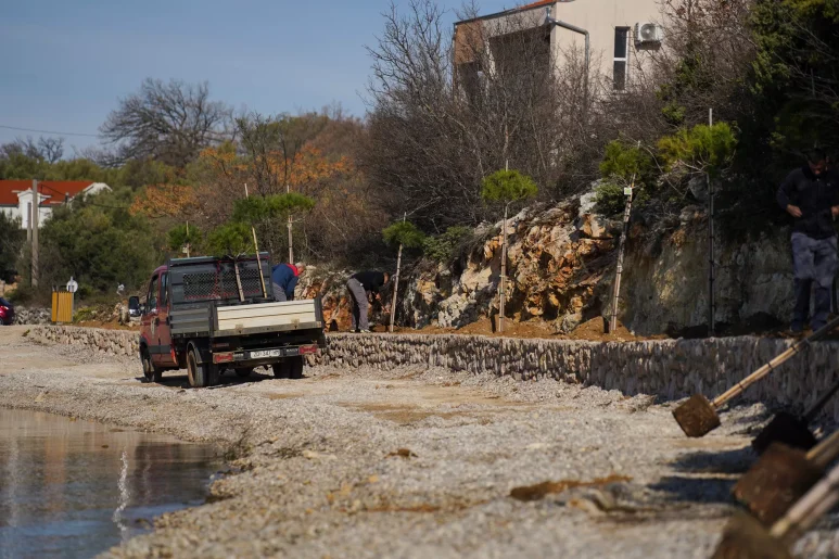 Sadnja stabala na plazi Male Vrulje FOTO Matija Lipar-19