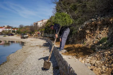 Sadnja stabala na plazi Male Vrulje FOTO Matija Lipar-25