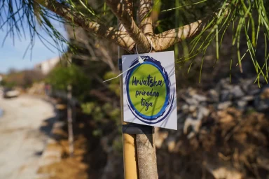 Sadnja stabala na plazi Male Vrulje, Hrvatska prirodno tvoja FOTO Matija Lipar-32