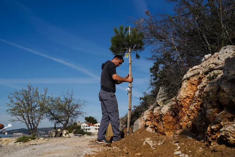 Sadnja stabala na plazi Male Vrulje FOTO Matija Lipar-4