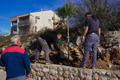 Sadnja stabala na plazi Male Vrulje FOTO Matija Lipar-5