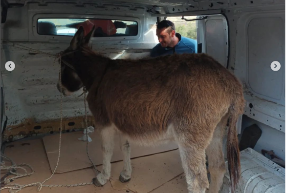 Screenshot 2023-03-15 at 12.58.12