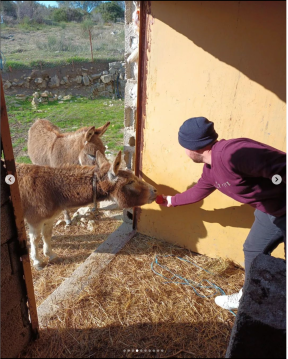 Screenshot 2023-03-15 at 12.58.27