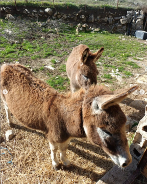 Screenshot 2023-03-15 at 12.58.36