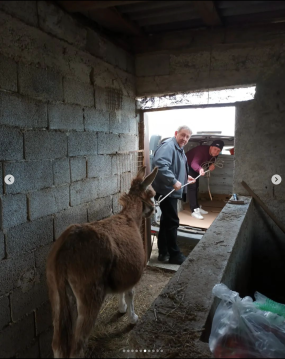 Screenshot 2023-03-15 at 12.58.48