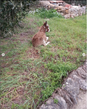 Screenshot 2023-03-15 at 12.59.00