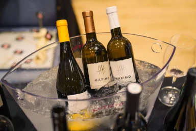 Wine enogastro vip event FOTO Matija Lipar-32